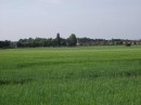 Open Save our Green Belt overview
